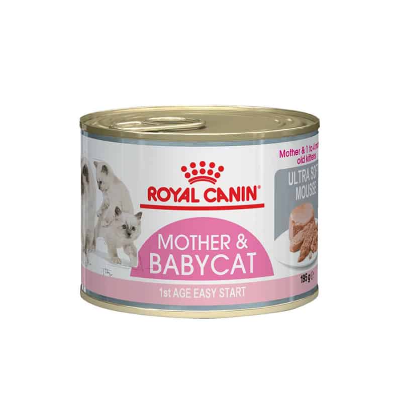Корм для беременных и кормящих кошек. Роял Канин mother Babycat. Роял Канин бэби Кэт паштет. Royal Canin консервы для котят. Royal Canin mother & Babycat.