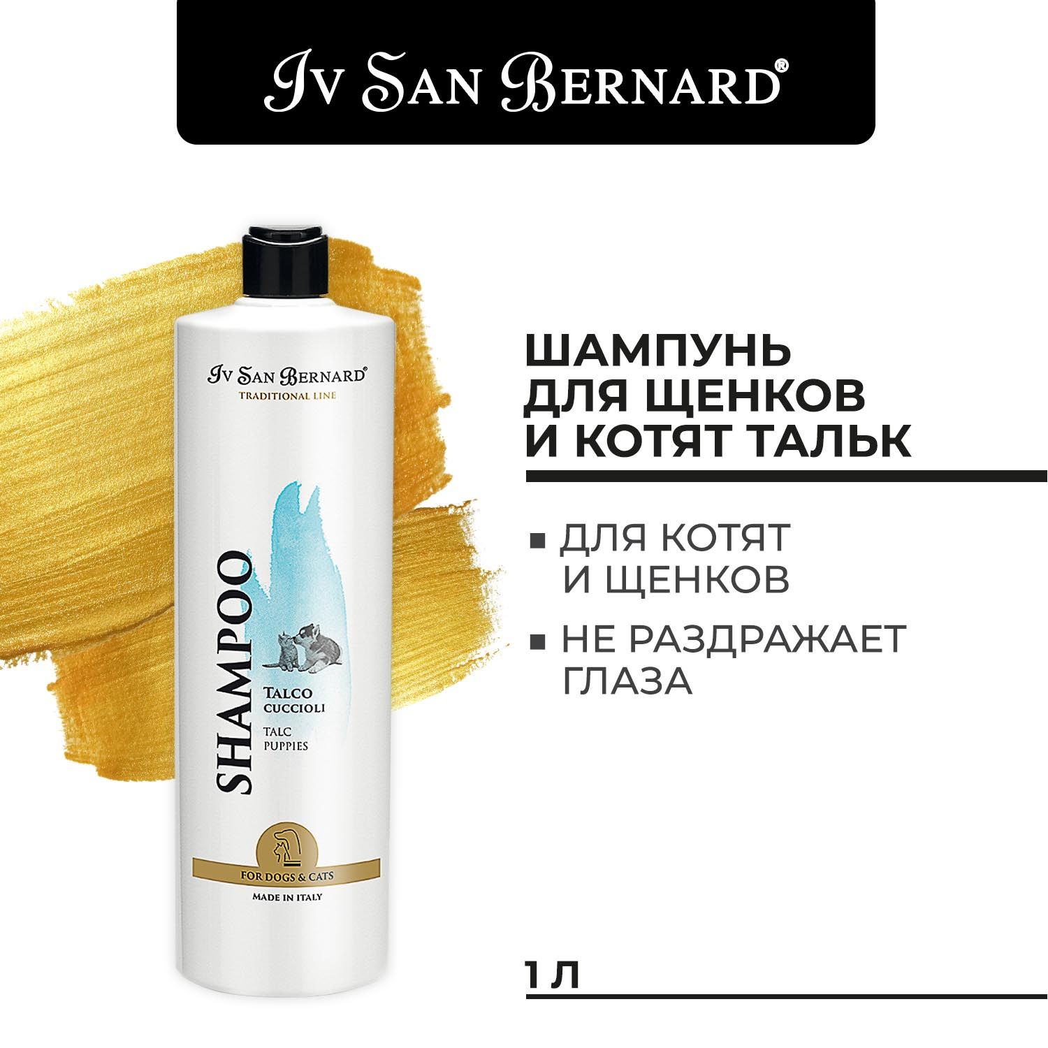 Iv San Bernard