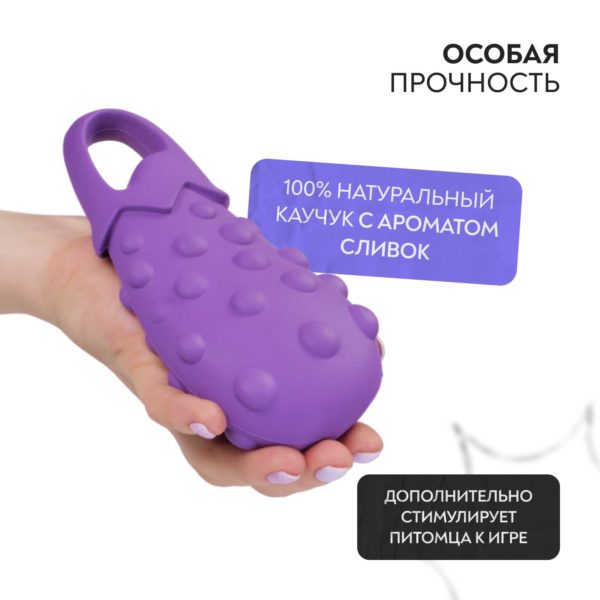 MKR000170_17