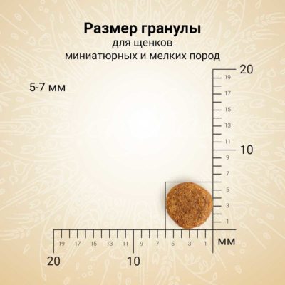 CRF5420758_14