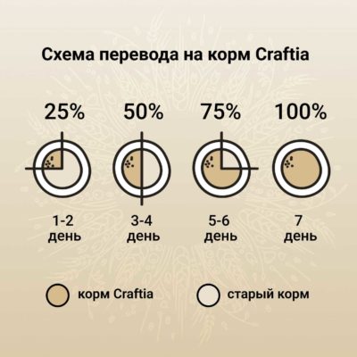 CRF5420758_16