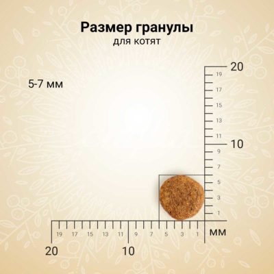 CRF5421601_14