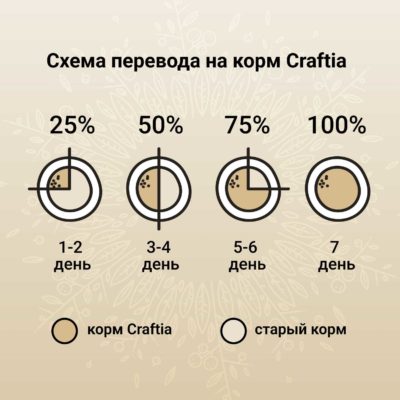 CRF5421601_16